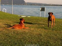 20110820_Makakadi_Isseo See_0487